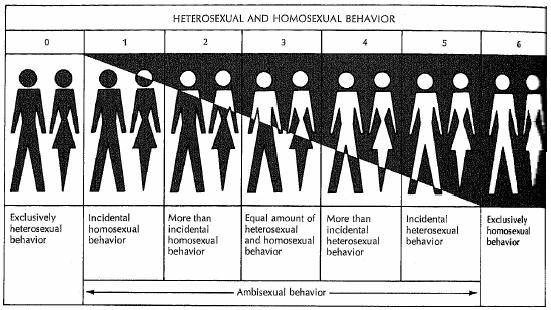 Sự khác biệt giữa đồng tính và dị tính