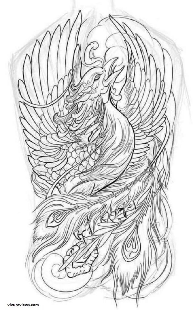 Vẽ rồng Hình xăm Rồng Trung Quốc Rồng Nhật Bản Rồng Châu Âu Hình xăm  Thư pháp Trung Quốc Flash Ý tưởng Đen và trắng hình xăm thư pháp Trung  Quốc png 